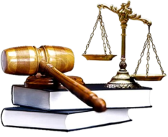 profesiparalegal.com